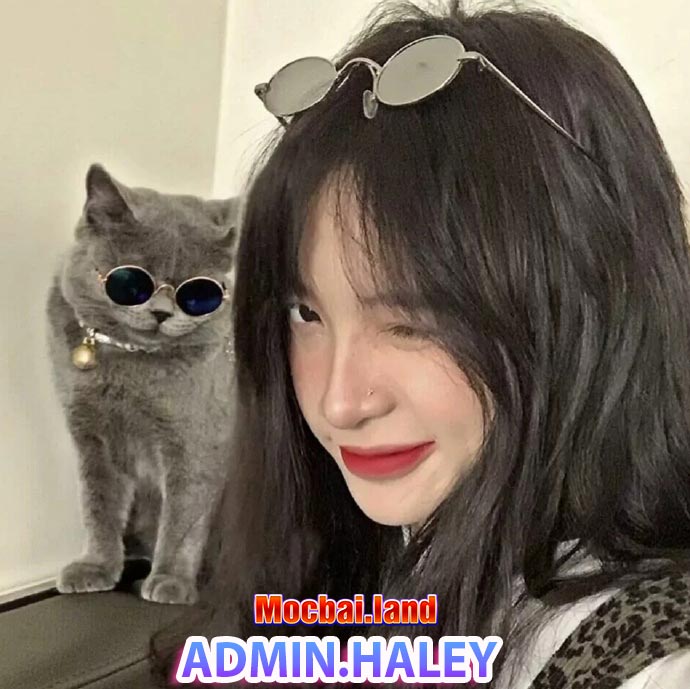 Admin Haley